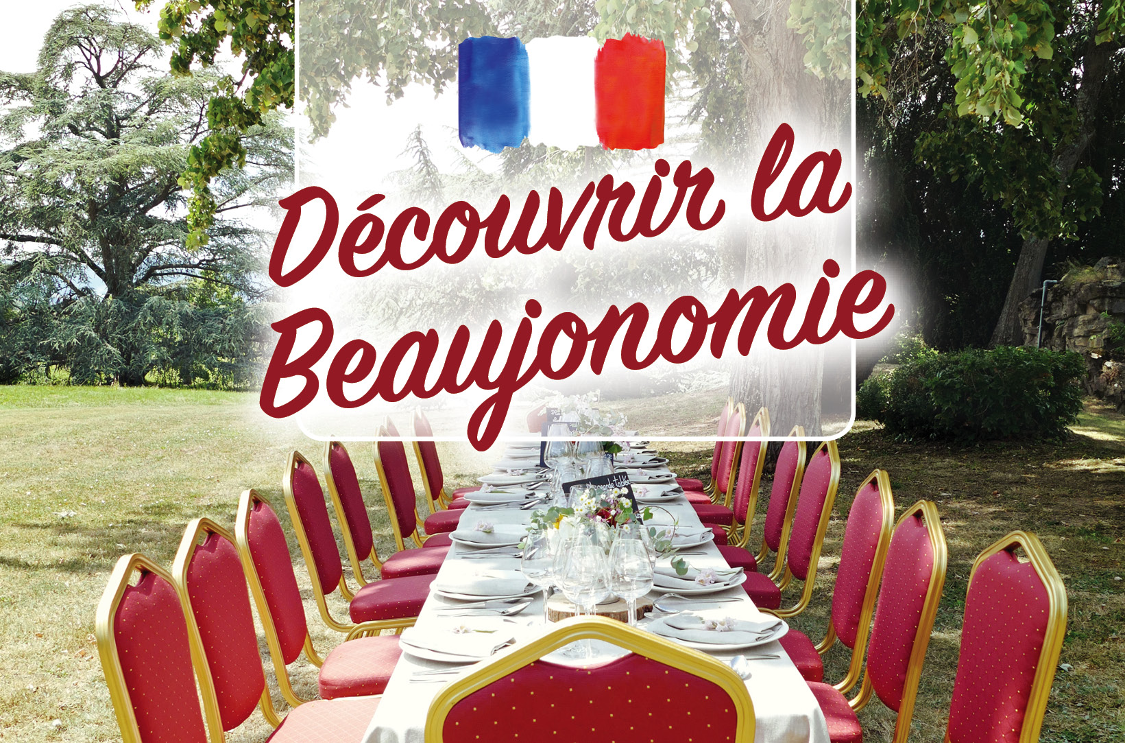 Bienvenue en Beaujonomie. Repas gastronomique avec des vins Beaujolais de caractère